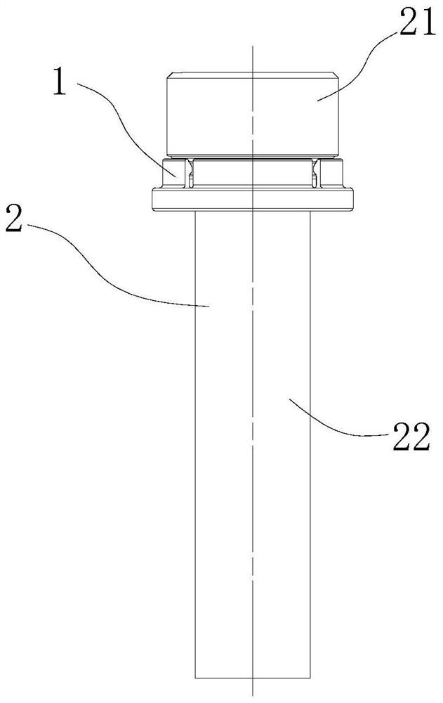 Washers, screws and screw assemblies