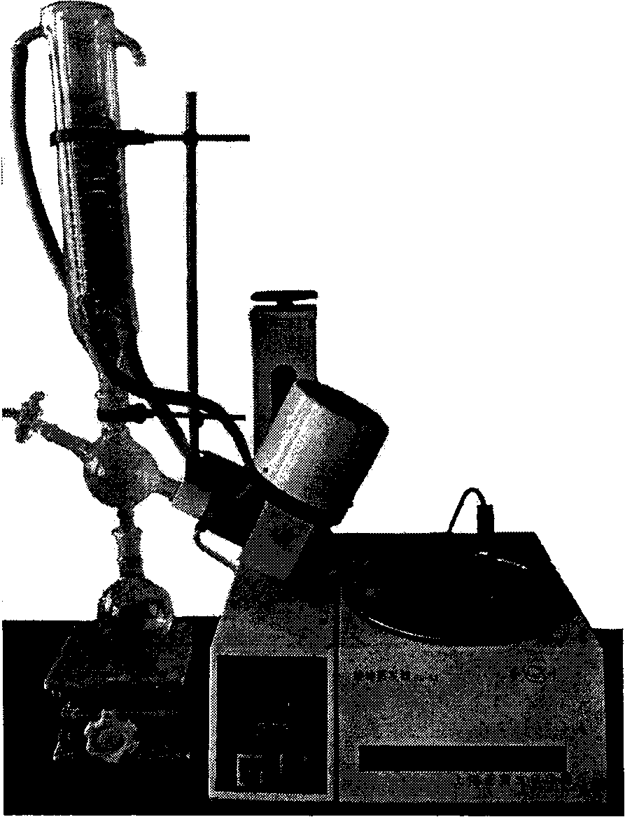 Method for synthesizing citric acid glyceride by immobilized lipase catalysis in rotatory evaporator