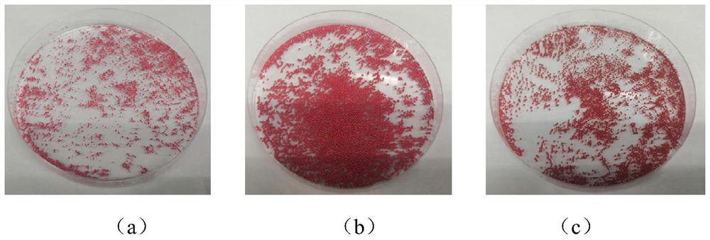 Preparation method of fumaric acid and preparation method of amino acid