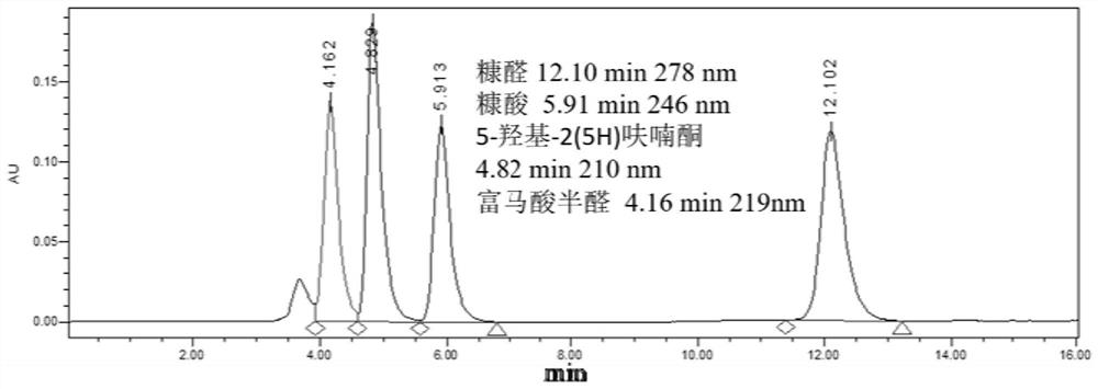 Preparation method of fumaric acid and preparation method of amino acid