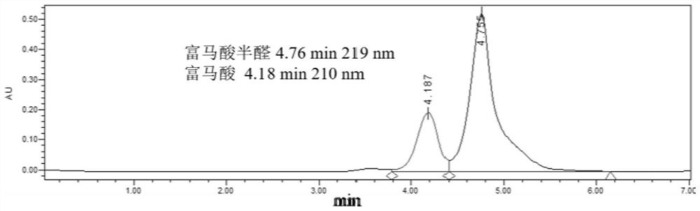 Preparation method of fumaric acid and preparation method of amino acid