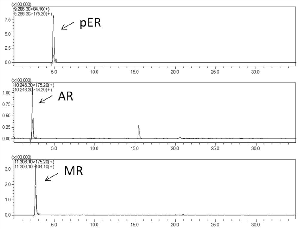 A kind of perilla seed peptide capable of improving male sexual function and preparation method thereof