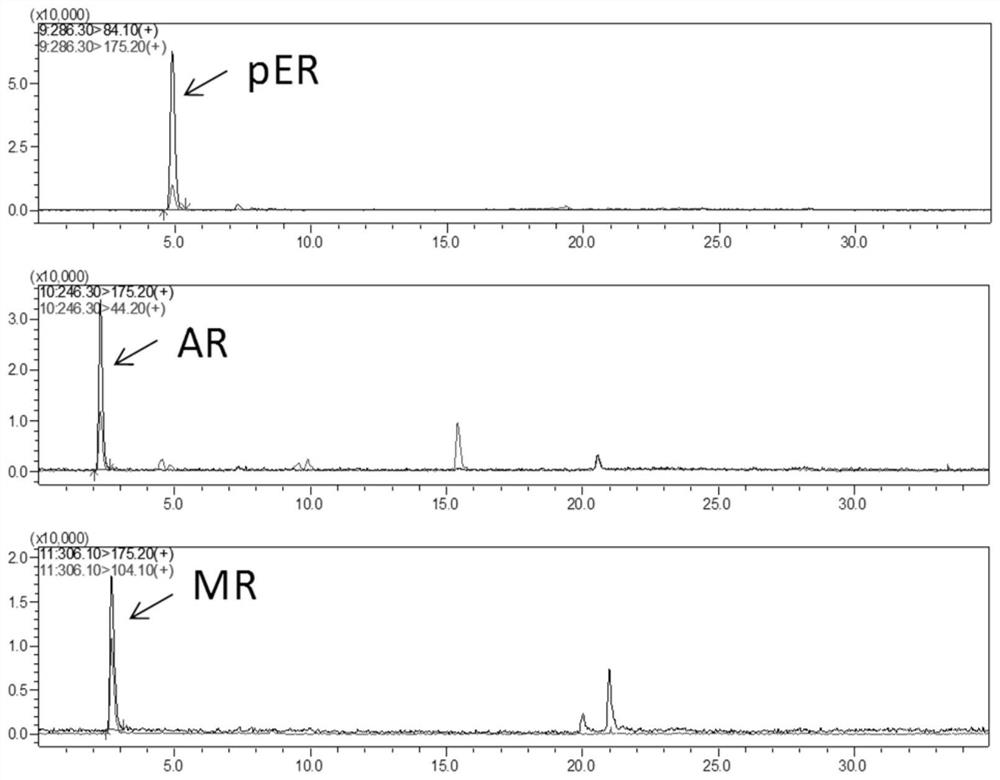 A kind of perilla seed peptide capable of improving male sexual function and preparation method thereof