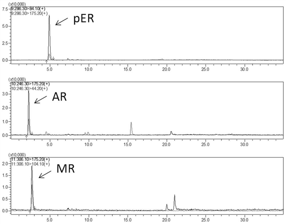 A kind of perilla seed peptide capable of improving male sexual function and preparation method thereof