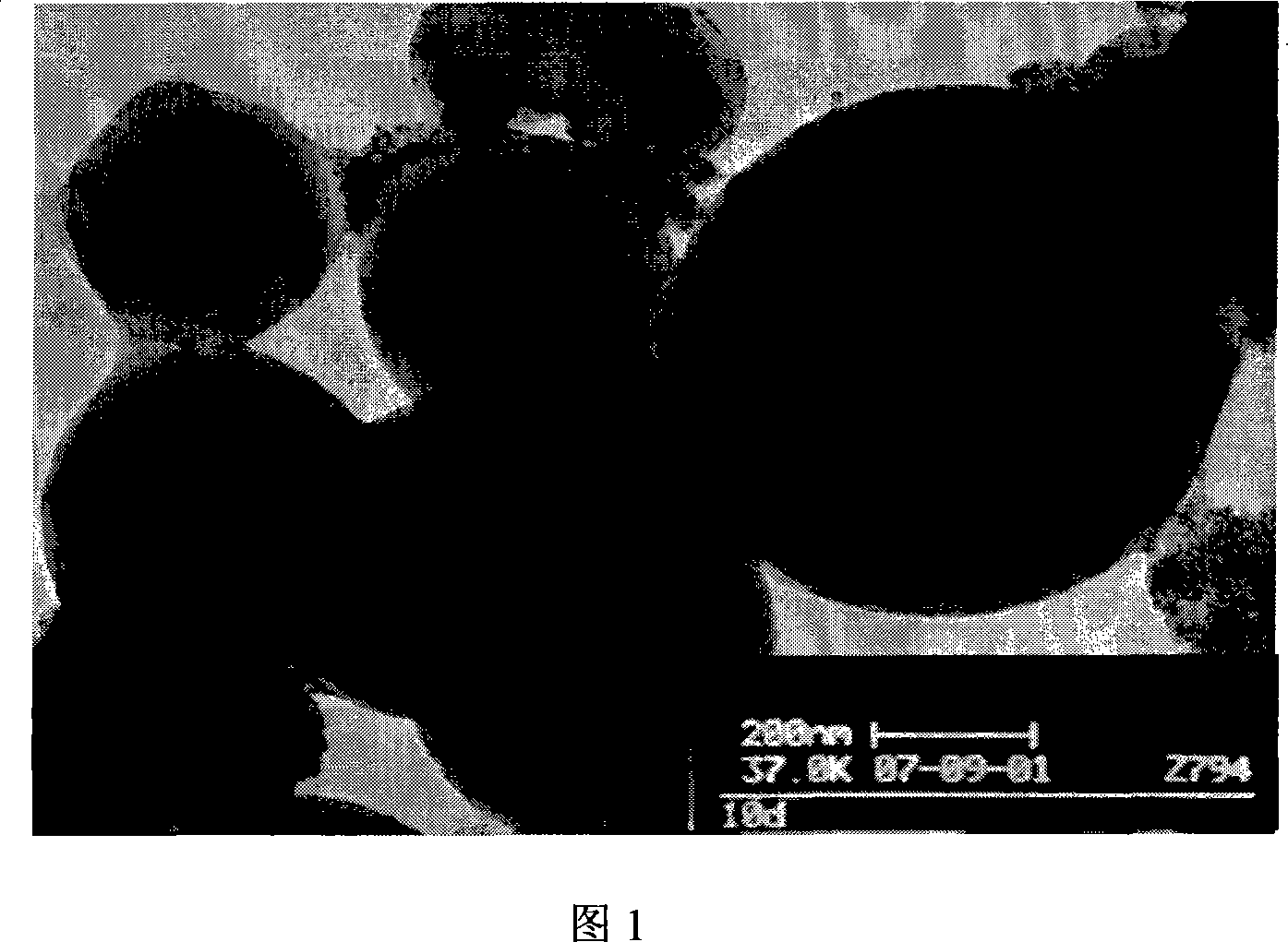 Method of producing magnetic microsphere with surface functional group