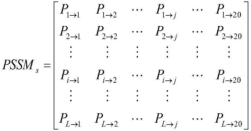 Method for predicting secondary structure of protein based on multiple evolution matrices