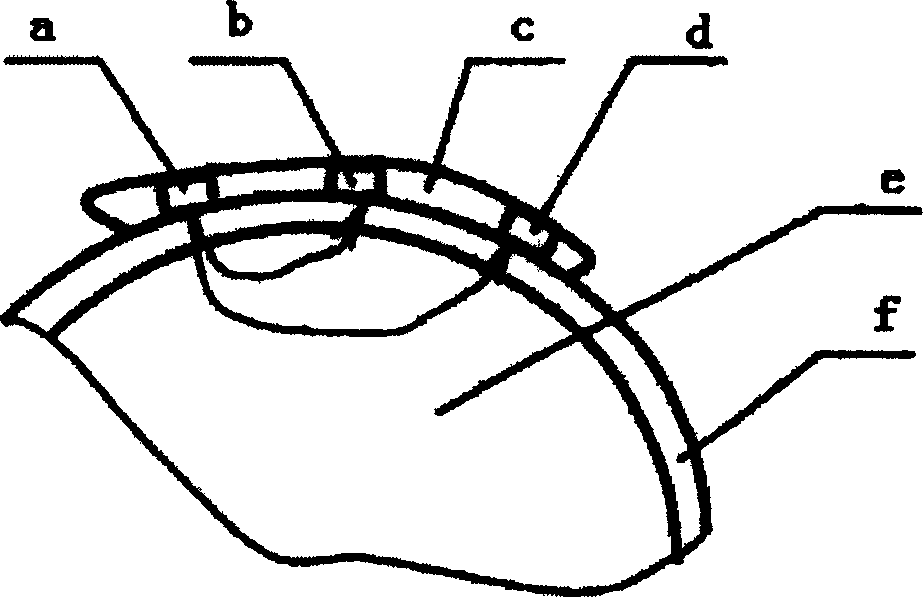 Near infrared tissue non-destructive testing method for blood transportation parameter of skeletal muscle metabolism