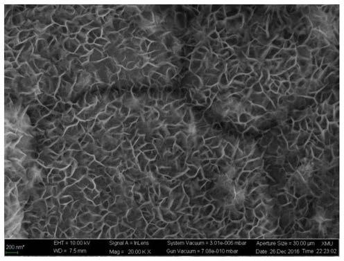 A large-area method for preparing self-supporting high-performance oxygen evolution electrodes at room temperature