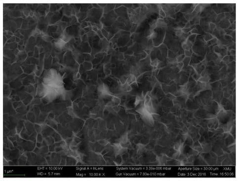 A large-area method for preparing self-supporting high-performance oxygen evolution electrodes at room temperature