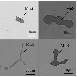 Calcium-tellurium synergistic gear steel and preparation method and application thereof