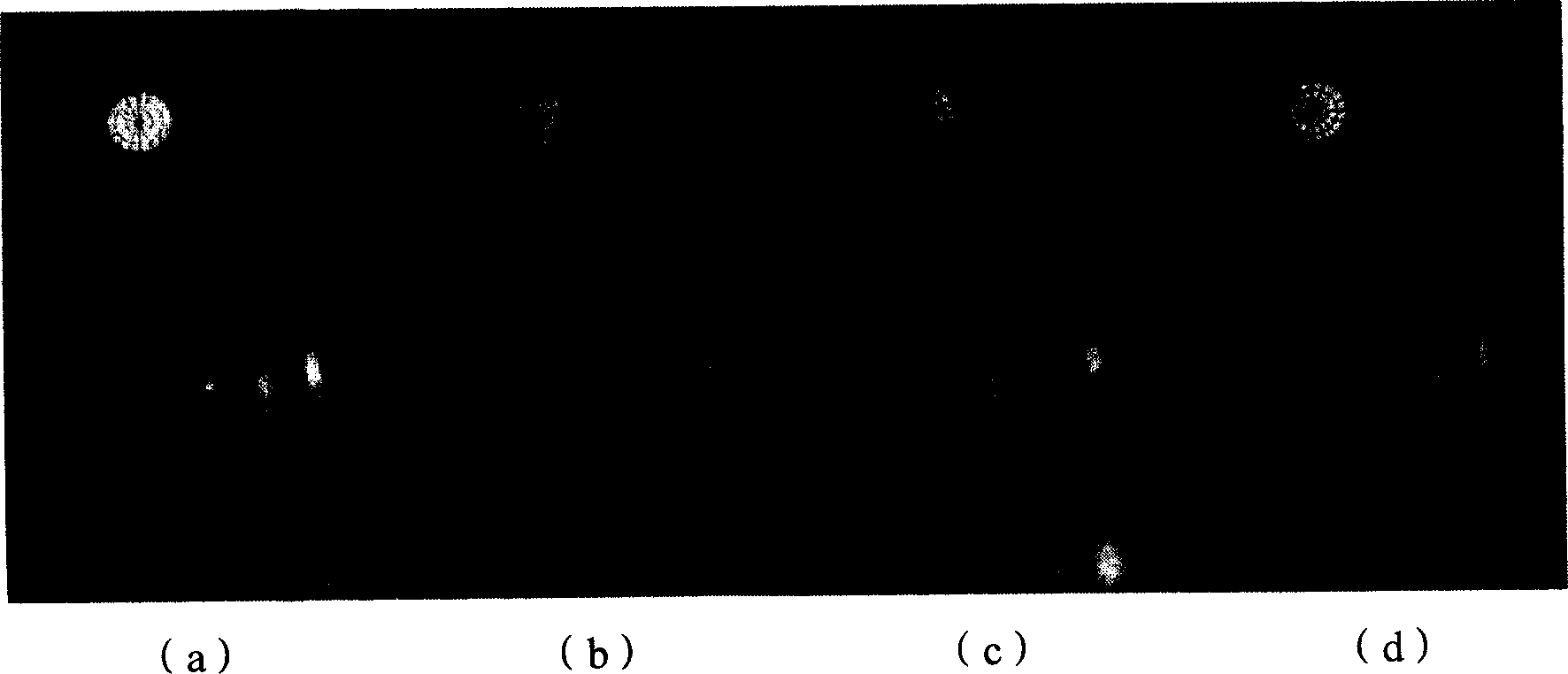 High dynamic range compression method via adaptive exponential mapping