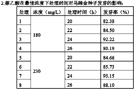 Artificial cultivation method of dichondra repens