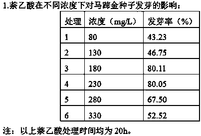 Artificial cultivation method of dichondra repens