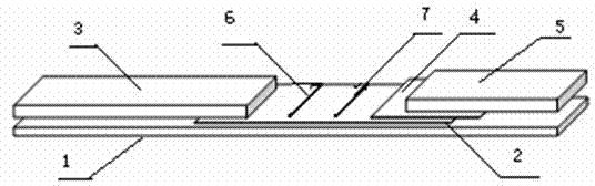 Contagious caprine plueropneumonia antibody detection test strips, and preparation method thereof