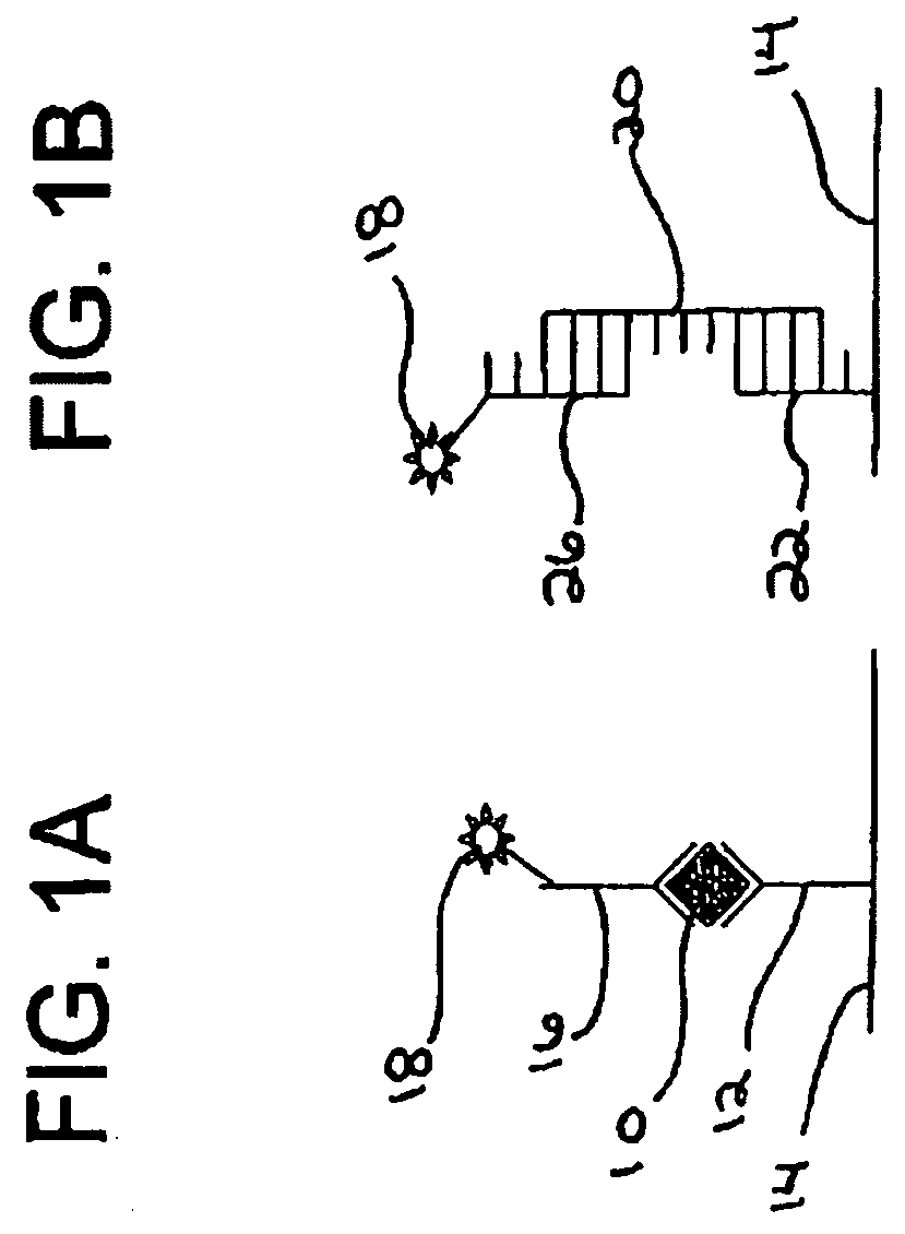 Methods of controlling the sensitivity and dynamic range of a homogeneous assay