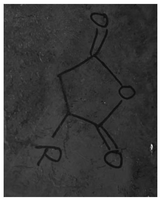 Carboxylate/phosphate dual dynamic covalent polymer network material and preparation method thereof