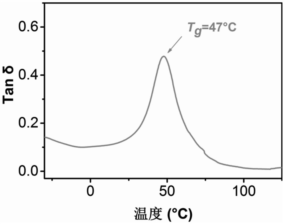 Carboxylate/phosphate dual dynamic covalent polymer network material and preparation method thereof