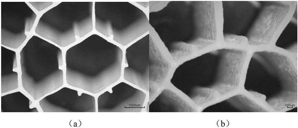 Method and device for improving wastewater treatment biological film forming efficiency