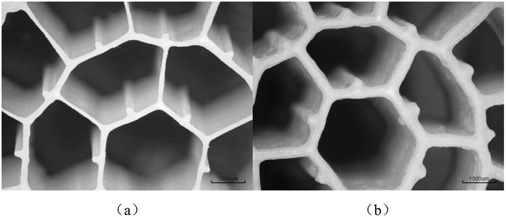 Method and device for improving wastewater treatment biological film forming efficiency