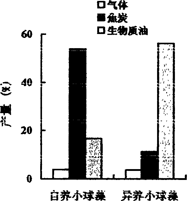 Method for preparing biology diesel oil by using amylum enzymolysis to cultivate heterotrophy alga