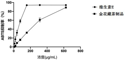 Eurotium cristatum Tibetan tea product