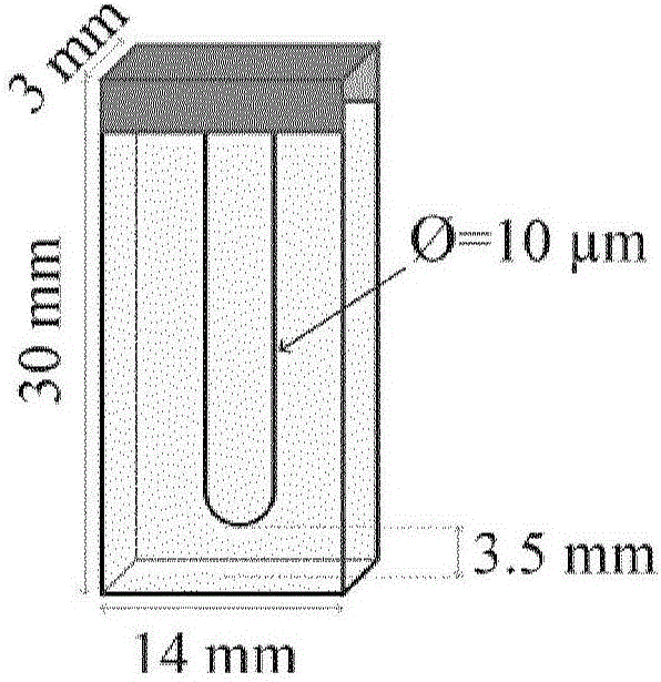 Polyolefin composition for power cables