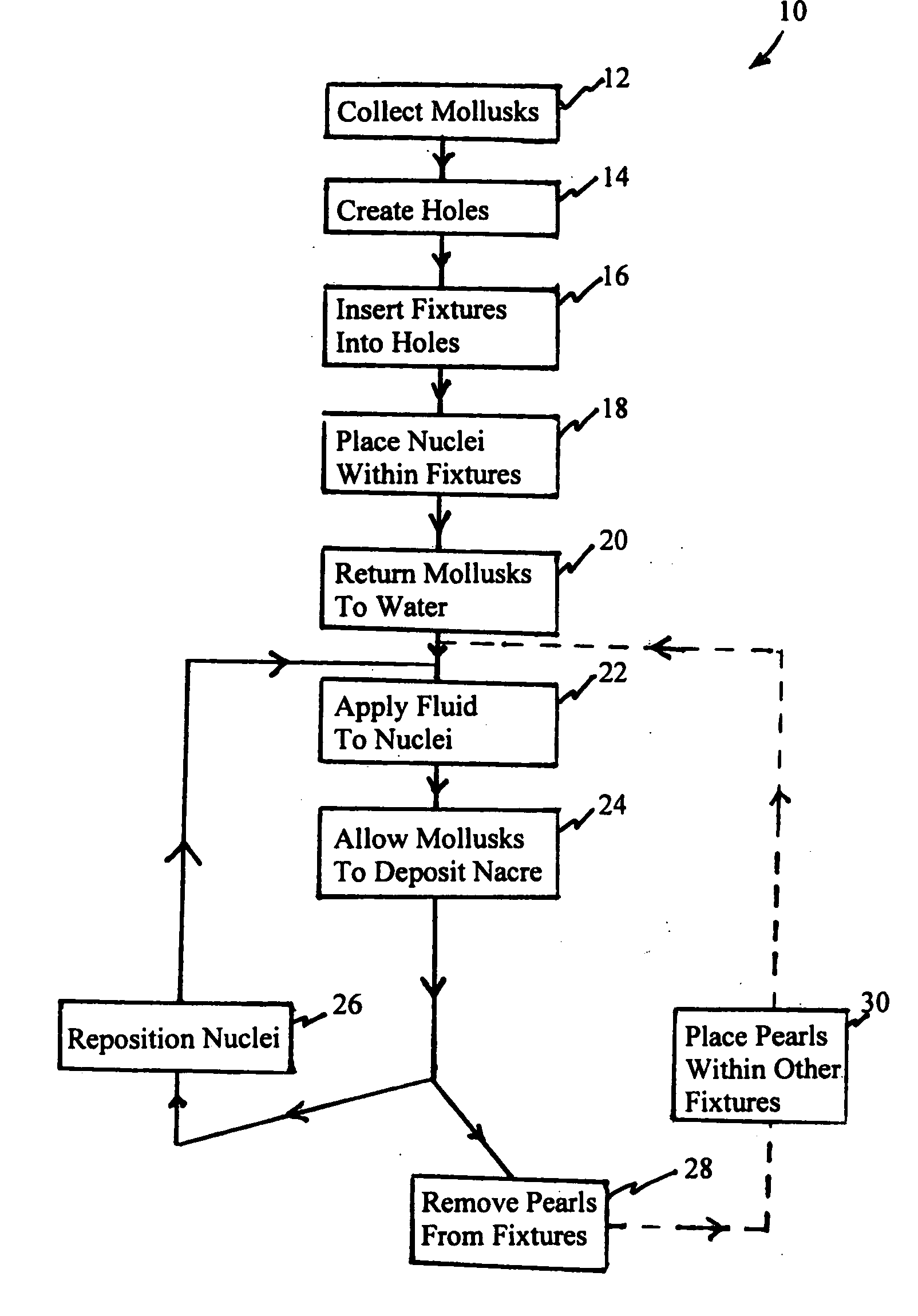 Pearl culture method and product