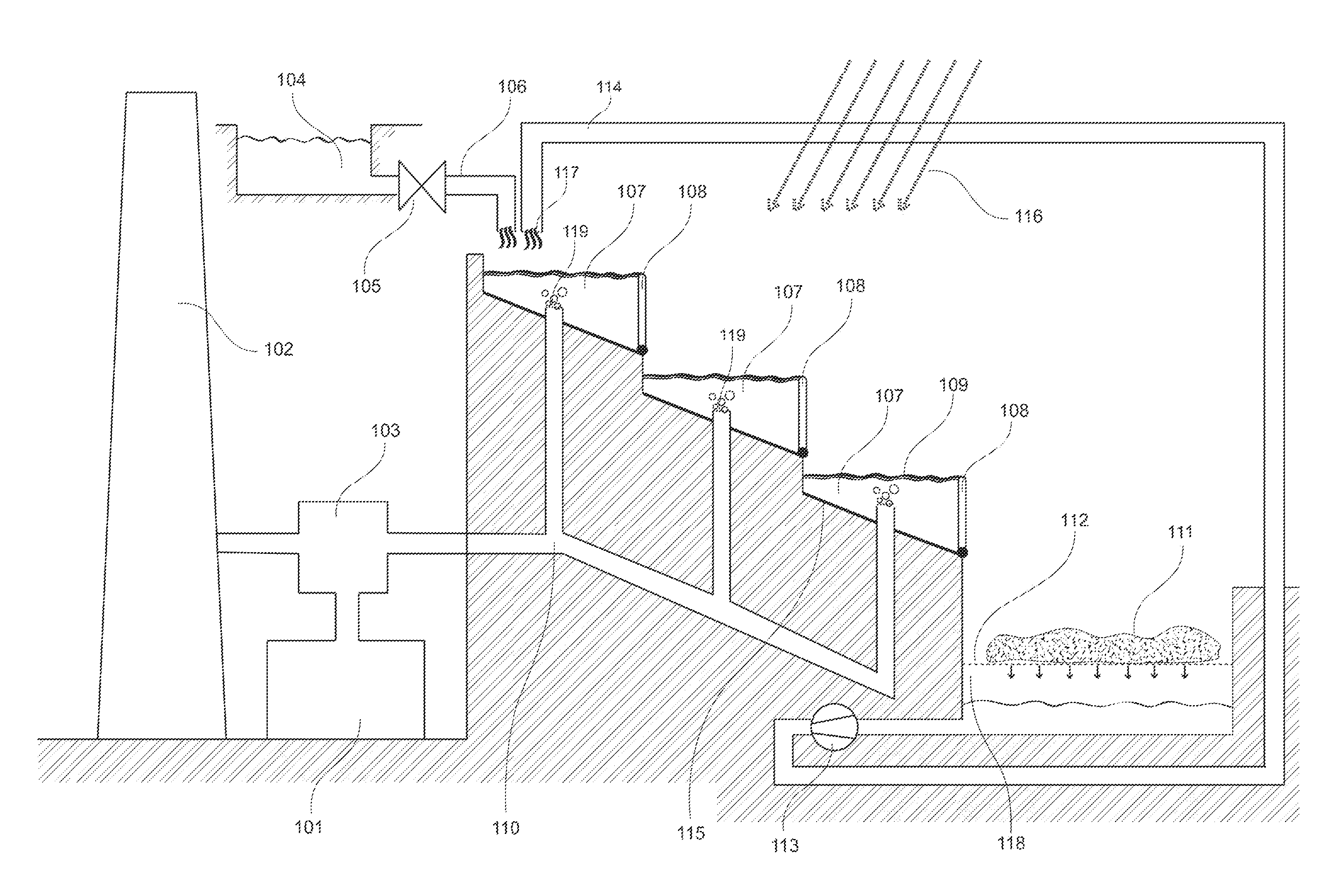 Construction material made of algae, method for cultivating algae, and algae cultivation plant