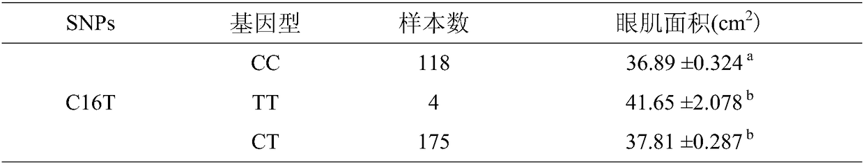 A method for identifying or assisting in identifying the eye muscle area of ​​pigs with a weight of 100 kg and its special kit