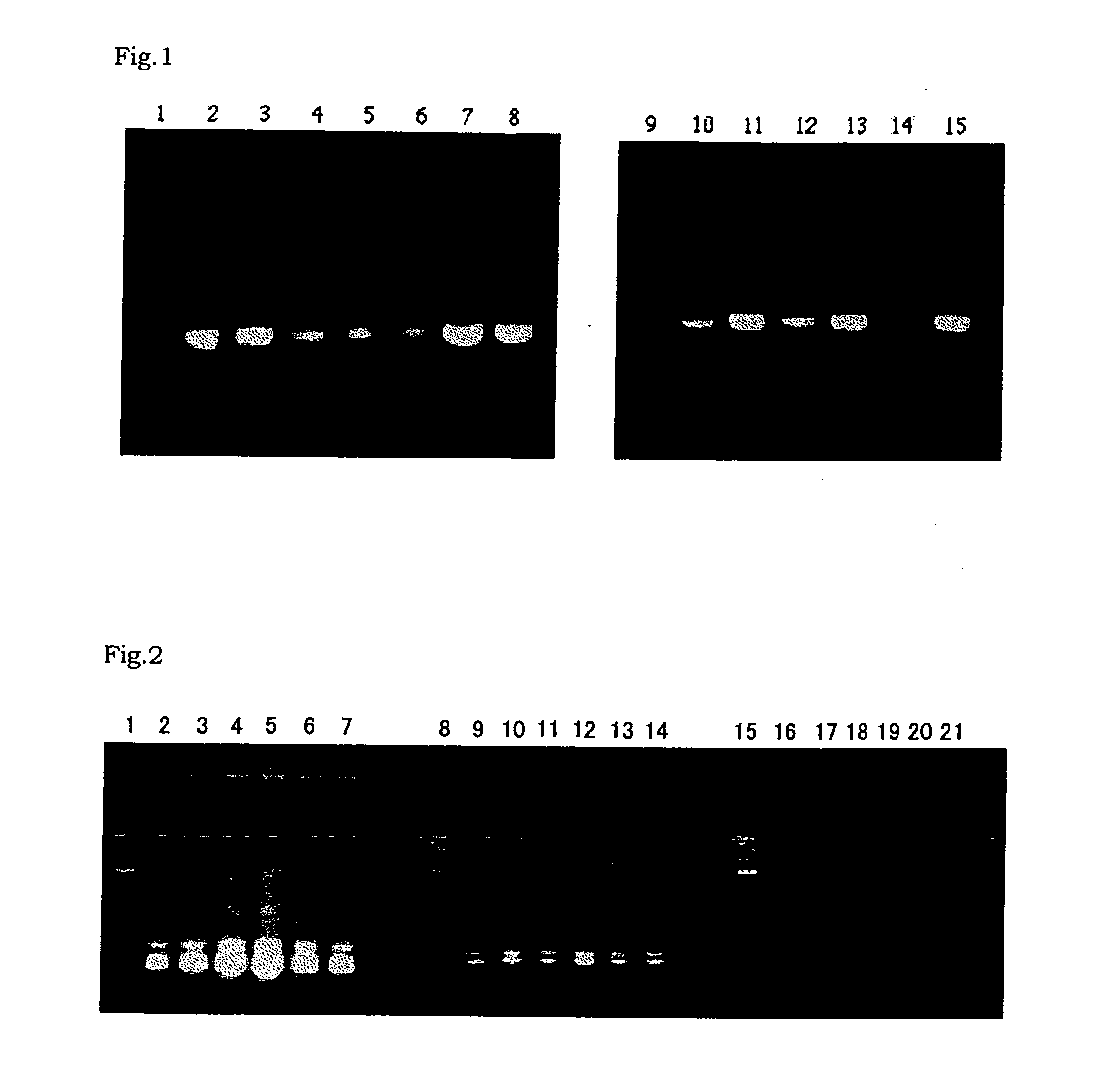 Method for amplifying nucleic acid sequence