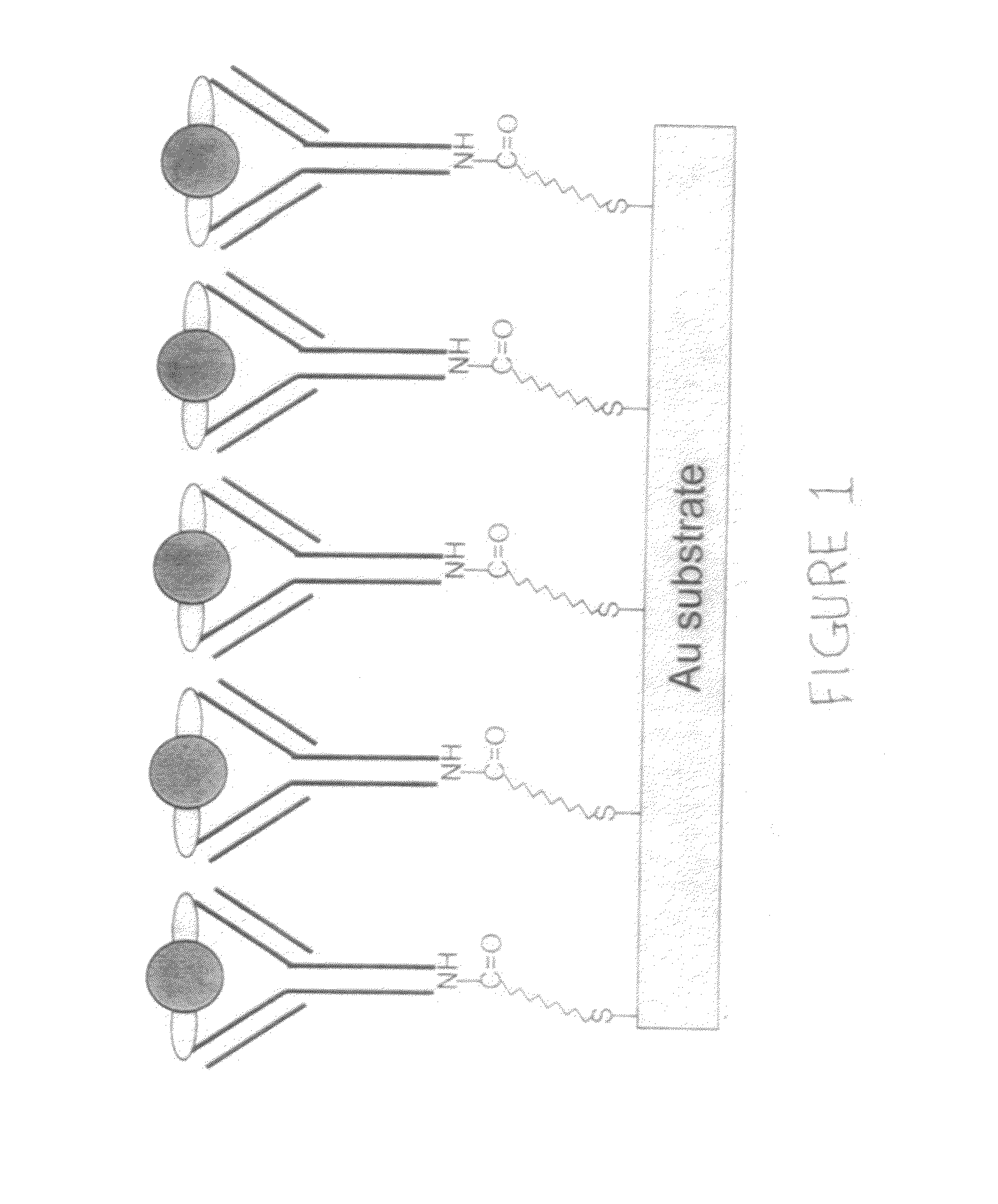 Bioelectronic tongue for food allergy detection