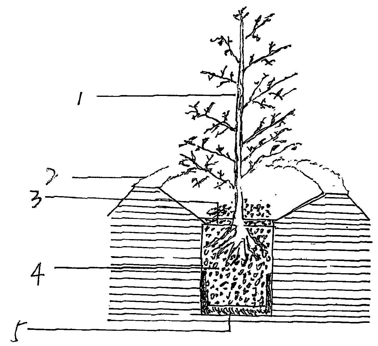 A kind of method for fast-growing plants by preserving moisture and saving water