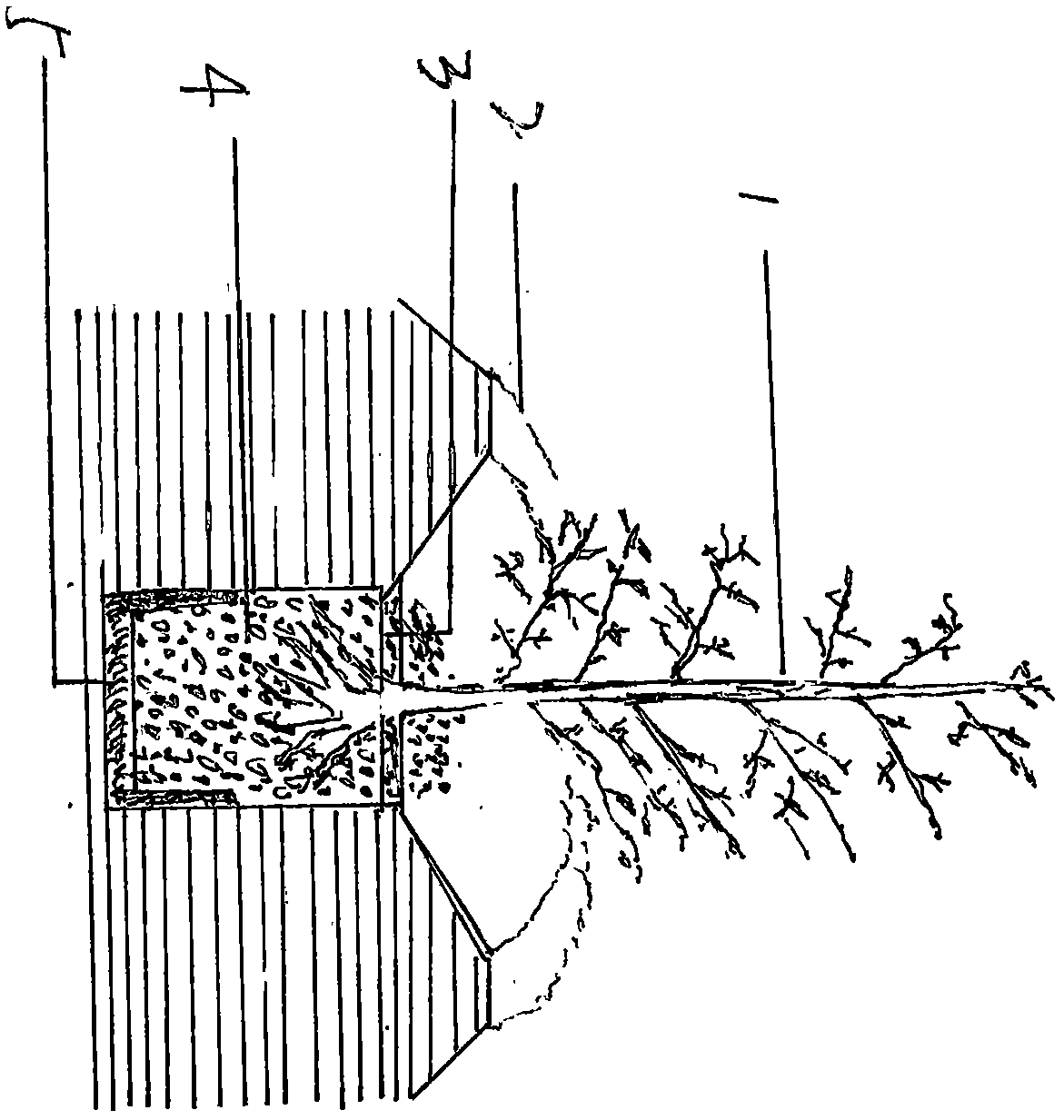 A kind of method for fast-growing plants by preserving moisture and saving water