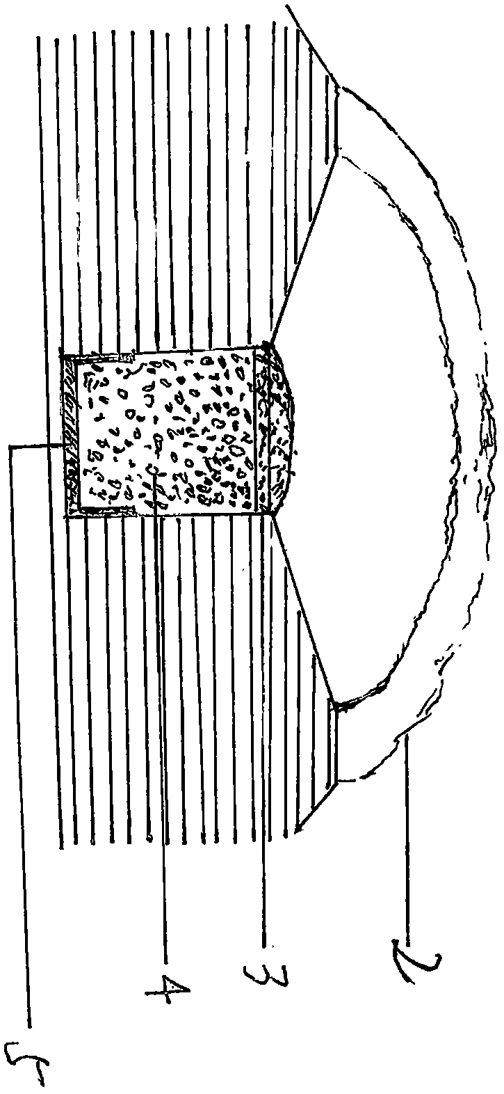 A kind of method for fast-growing plants by preserving moisture and saving water