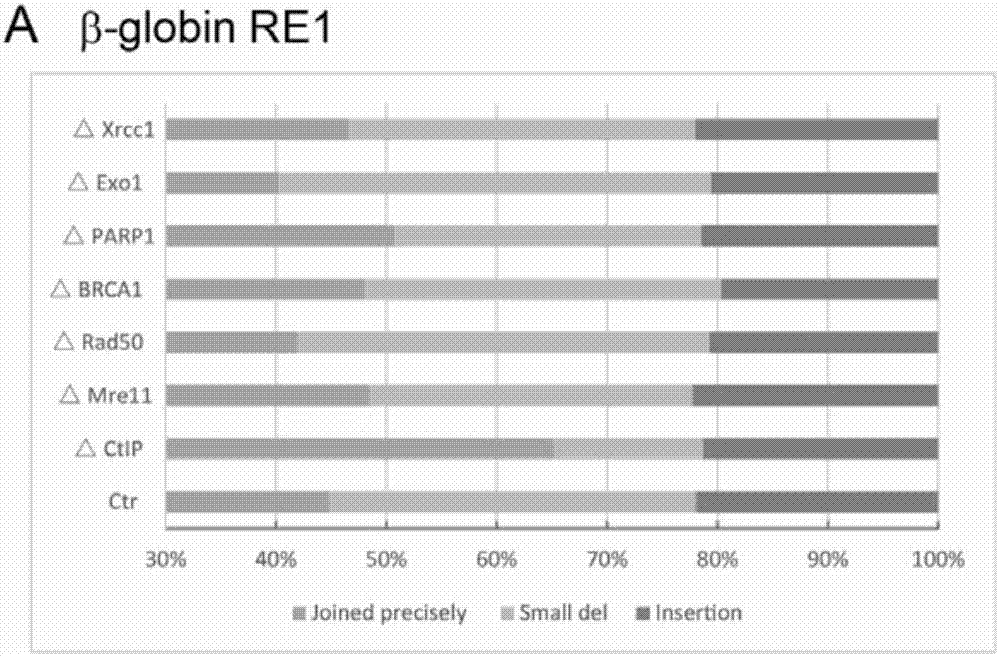 Analysis method of genomic DNA (deoxyribonucleic acid) fragment editing precision applicable to CRISPR/Cas9 (clustered regularly interspaced short palindromic repeats/CRISPR-associated nuclease 9) system, and application