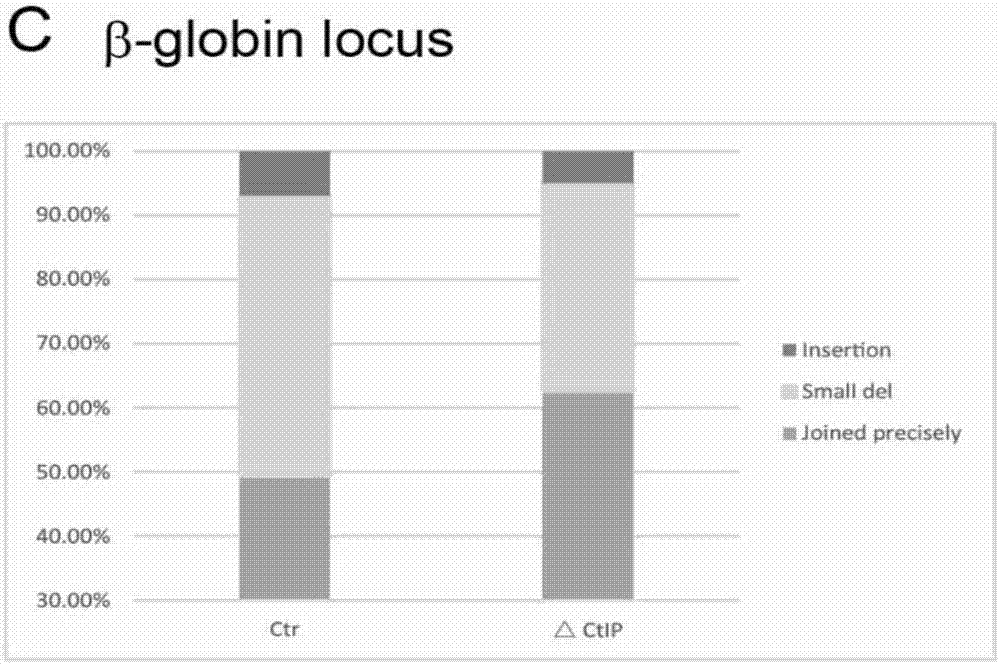 Analysis method of genomic DNA (deoxyribonucleic acid) fragment editing precision applicable to CRISPR/Cas9 (clustered regularly interspaced short palindromic repeats/CRISPR-associated nuclease 9) system, and application