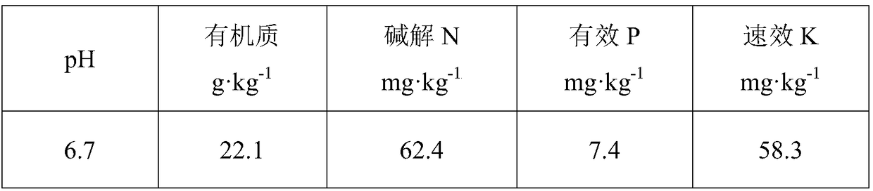 Walnut special fertilizer and preparation method thereof