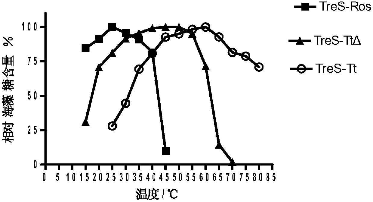 Heatproof trehalose synthase fusion enzyme mutant gene and application thereof