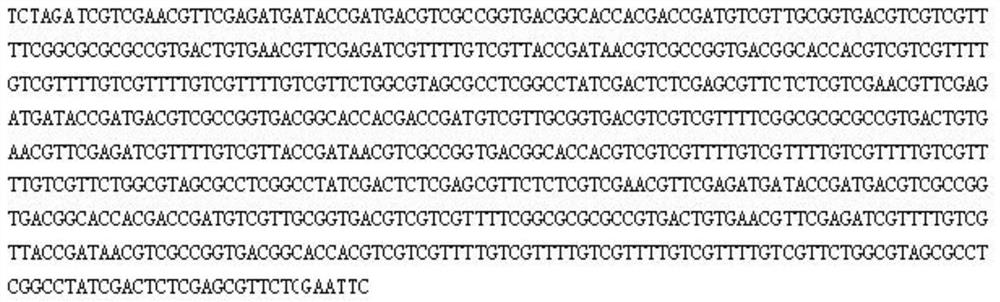 A kind of cpg-odn with specific immunostimulatory effect on prrsv and application thereof