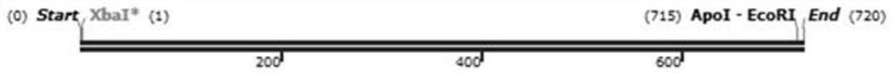 A kind of cpg-odn with specific immunostimulatory effect on prrsv and application thereof