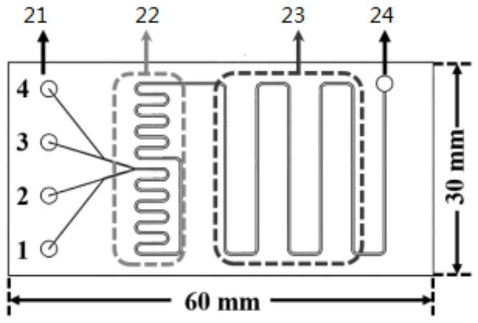 Microfluidic in-situ SERS detection method for detecting trace mercury ions