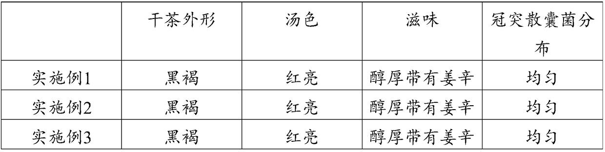 Camellia nitidissima containing dark green tea and preparation method thereof