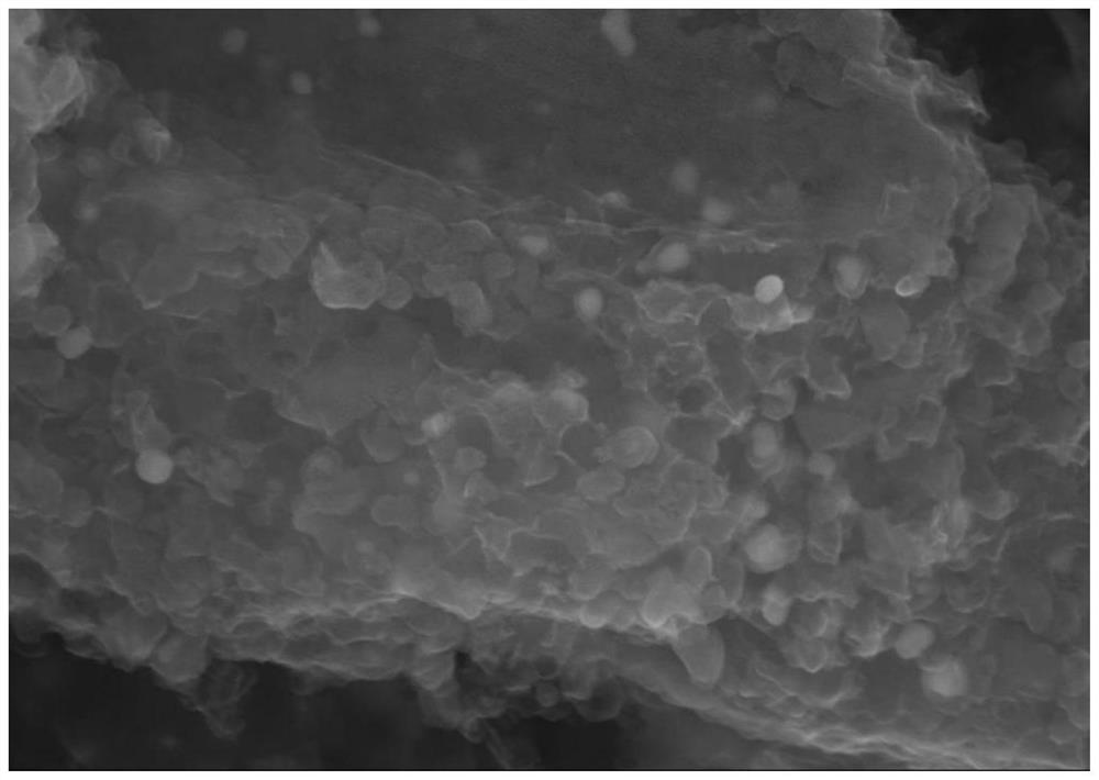 Positive electrode material of lithium-sulfur battery composite electrode and preparation method and application of positive electrode material