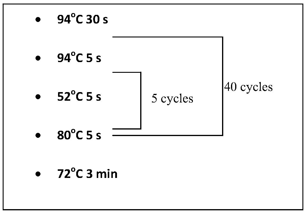 Method for detecting mutation site of folate metabolism related gene