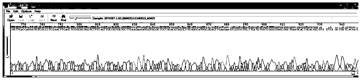 AAV9-CIP virus expressing neurodegenerative disease protective peptide and preparation method thereof