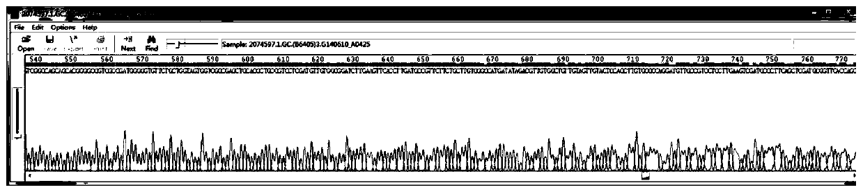 AAV9-CIP virus expressing neurodegenerative disease protective peptide and preparation method thereof