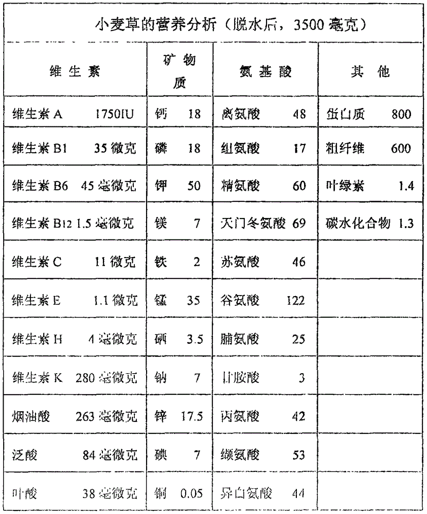 Wheatgrass golden brick like dried meat floss cakes and manufacture method thereof