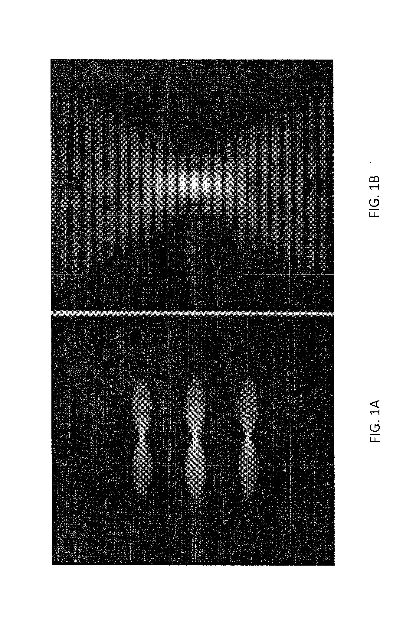 Omnidirectional super-resolution microscopy