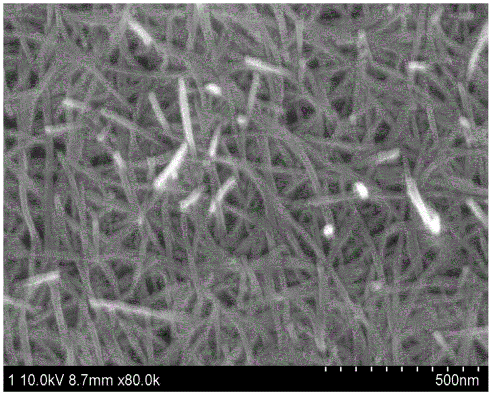 Titanium dioxide nano tube and preparation method thereof