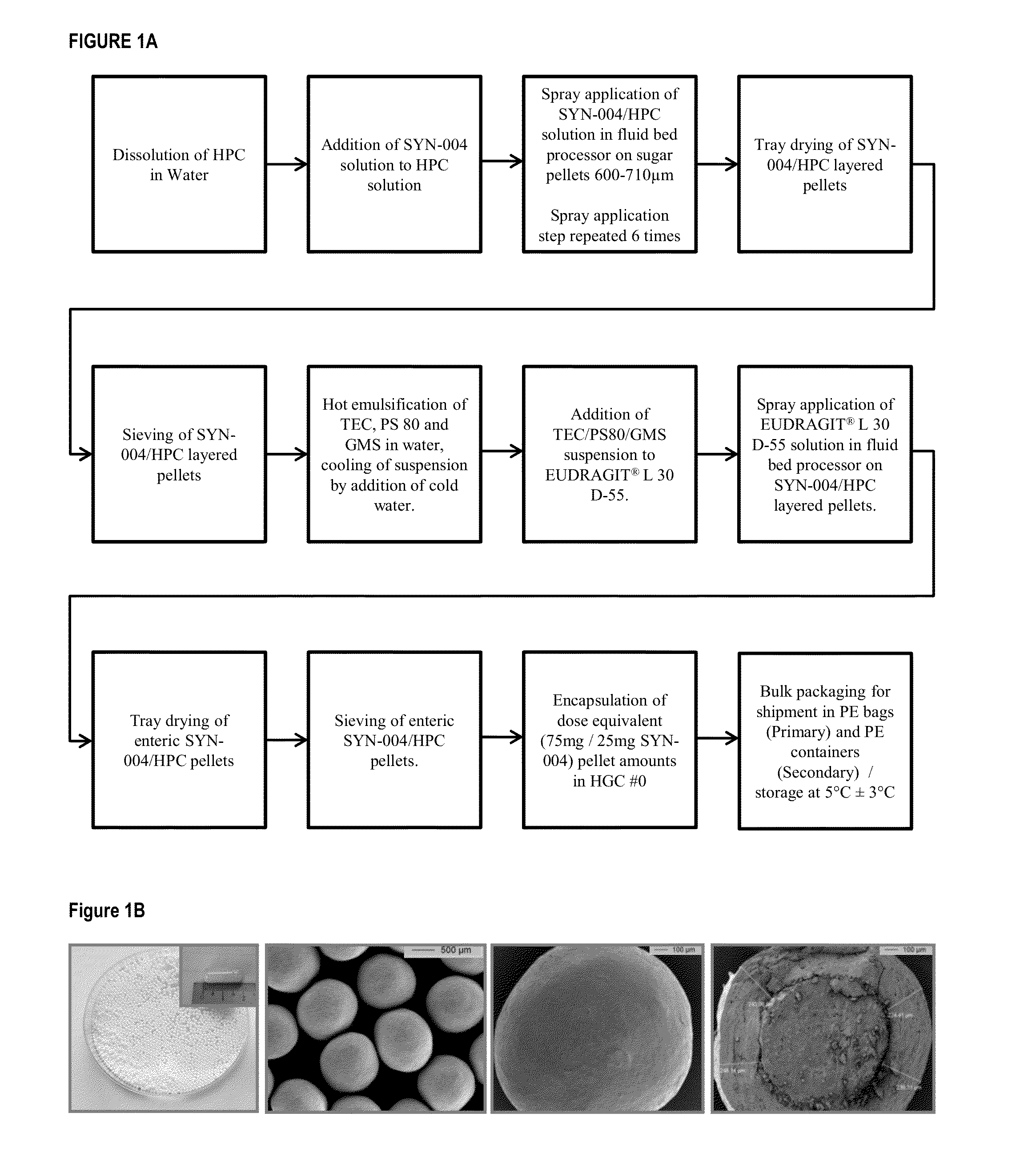 Beta-lactamase formulations and uses thereof